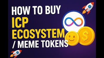 🚀 How to buy ICP ecosystem / meme tokens 🚀