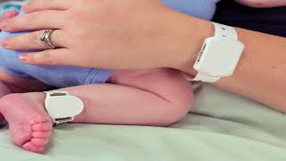 Bdpulse - Healthcare