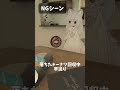 【NGシーン】ドーナツ落として思わず素が出ちゃうみらいちゃ #vrc #vrchat #shots