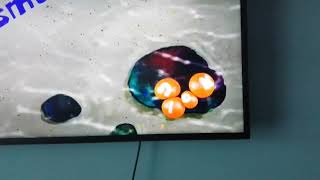 Nickelodeon Canada Screenbug Error Fri, Oct 13 2023