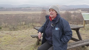 Cairngorms Connect