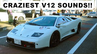 Japan's BEST Sounding Lamborghini V12s Compilation!!