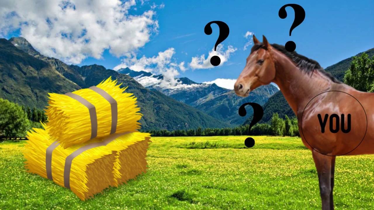 Aplsos And You - Chanel ad