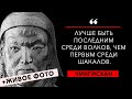 Очень сильные цитаты Чингисхана о характере, власти и успехе