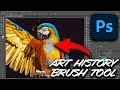 Photoshop Art History Brush Tool Tutorial