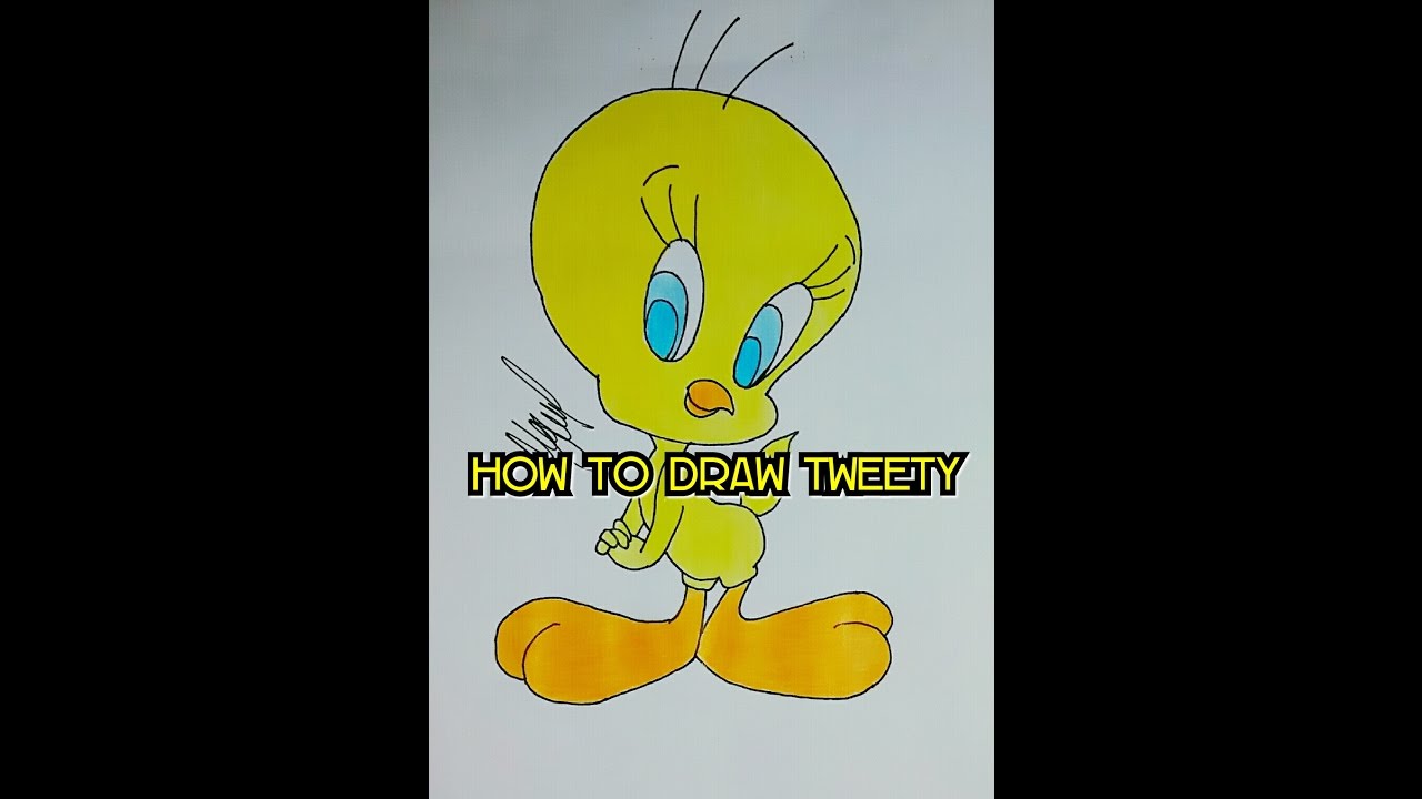 HOW TO DRAW TWEETY BIRD YouTube