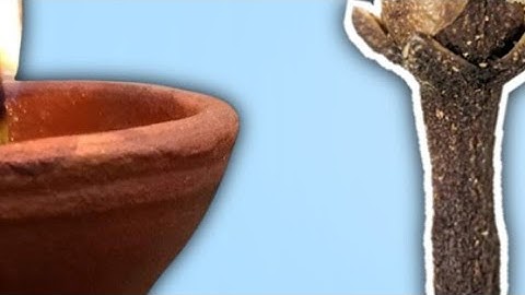 24 दिसंबर मंगलवार नवमी तिथि की रात 1 जोड़ा लौंग वाला ये उपाय होगी हर||PardeepJiMishra