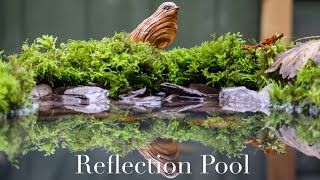 Wildlife/Nature Photography | 'How To' Reflection Pool on a Budget