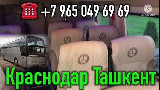 Краснодар Ташкент автобус, Краснодар Ташкент Спринтер, Краснодар Ташкент такси