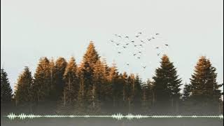 (1 hour) bliss - luke bergs (no copyright music]