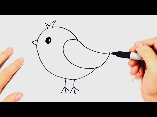 how to draw a bird