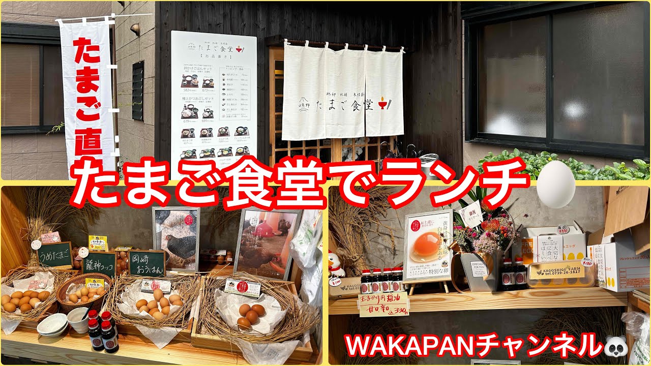 たまご食堂でランチ🥚WAKAPANチャンネル🐼 - YouTube