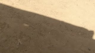 Singer Priya Thakor Live DJ In Nandol