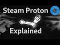 Steam proton  protontricks  custom versions and variables