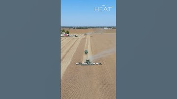 American soybean farmers hurting after tariffs