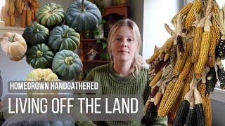 Living off what we grow, forage and hunt by Homegrown Handgathered 58,909 views 6 months ago 12 minutes, 16 seconds