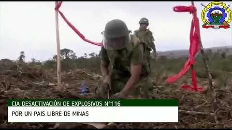 Compañía de Desactivación de Explosivos