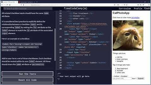 Create a Set of Checkboxes Free Code Camp Org Basic HTML and HTML5