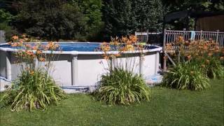 HOW TO KEEP YOUR POOL CRYSTAL CLEAR