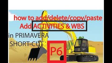 How to add/delete/copy/paste Activities and WBS in Primavera P6
