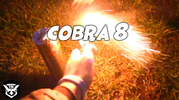 Cobra 8 | Op veldje in de avond