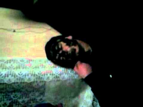 o luat foc ciotu la laleaua