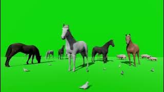 green screen shot effects bom 💥💥by horse 💥💥💥💥💥💥💥