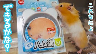 ハム鍋みたいにならないハムスター【暑さ対策グッズ】