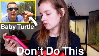 My Opinion: RAWWFishing Taking Baby Turtles From The Wild