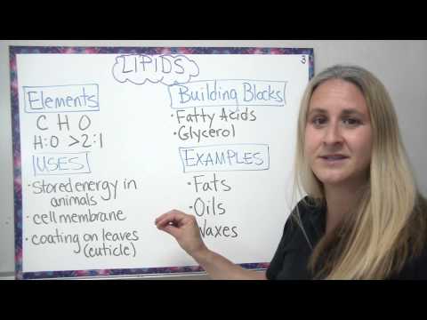 Video: Jaké jsou 4 sloučeniny?