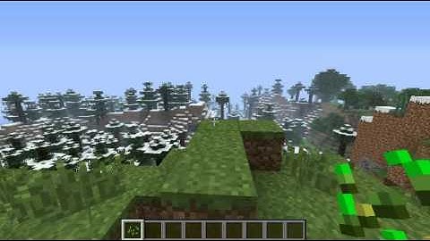Minecraft Screen Capture Test Sample
