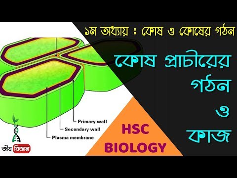 ভিডিও: বিদেশে, তারা আনন্দের সাথে শ্বাস নেয়: Su-57 থাকবে না