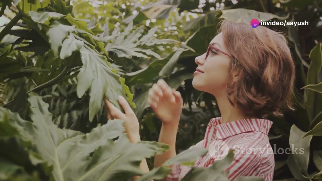 Exploring Earth's Wonders  A Visual Journey