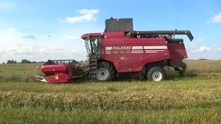 Уборка Зерновых Комбайнами Claas Lexion 770,760,580 И Полесье Gs 12