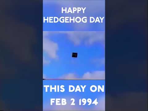Happy HEDGEHOG DAY!