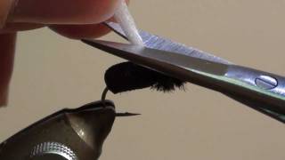 Meckejang Foam Beetle.mp4