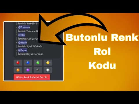 BDFD Butonlu Renk Rol Sistemi Otomatik / Maze Development