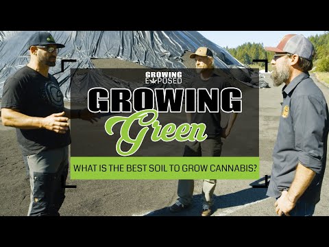 What is the Best Soil To Grow Cannabis?