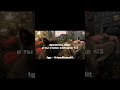тгк в описании вся инфа там )  #dabbackwood #pluggnb #cat #котики