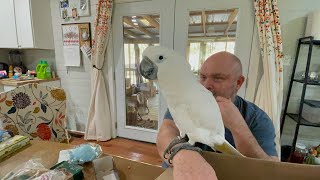 Download Lagu Happy New Year| Dad surprises the boys \u0026 gets recognized at work? ￼who’s the celebrity  MP3