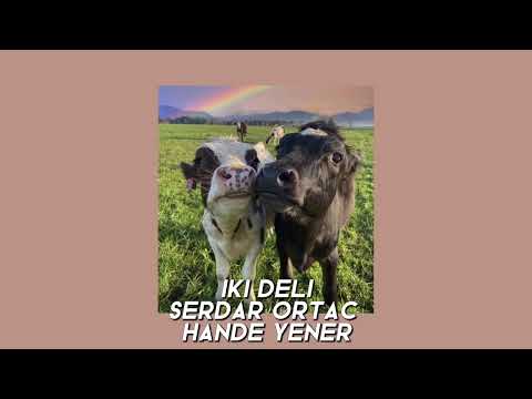 iki deli speed up (serdar ortaç ft. hande yener)