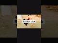 Pet vlog subscribe my channel for more content