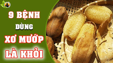 ✅Xơ Mướp - Thần Dược Chữa Đủ Thứ Bệnh Giúp Người Nghèo Tiết Kiệm 100 Triệu Mà Người Việt Chả Ai Biết