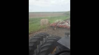 Seeding Organic Barley