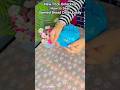 Genius kitchen hack #shortvideo #shorts #life-hacks #fruity