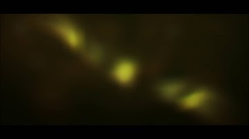 3D Intro | Venox | SpuKi&kilHo | 1 Likes?