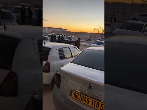 أسعار السيارات المستعملة في الجزائر سوق غمرة قمار ولاية الوادي ليوم 24 نوفمبر 2025 مع ارقام الهاتف