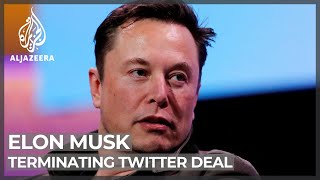 Elon Musk says he is terminating $44bn Twitter deal