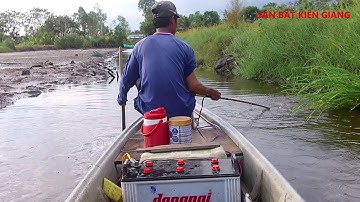 kích cá vuông tôm lên cá thấy mà mê | snakehead fishing | phần 2 | Săn Bắt Kiên Giang