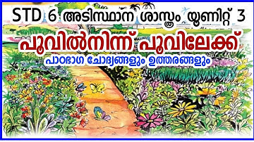 #state_syllabus_class6_ basic science& chapter3_from_flower_to_flowerbasic science chapter 3